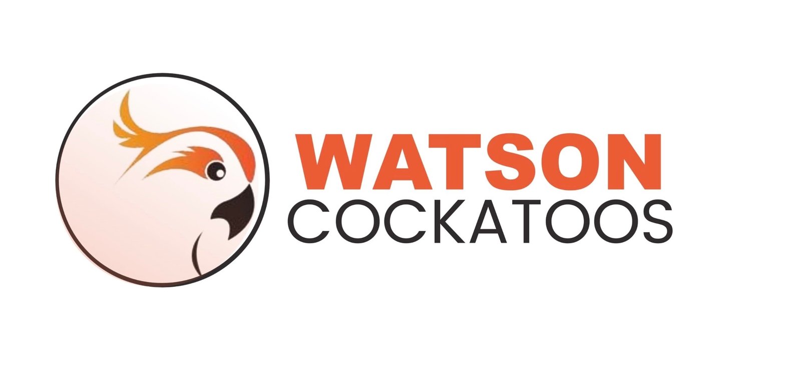 Watson Cockatoos